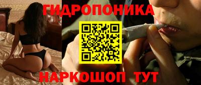 гашиш Кингисепп