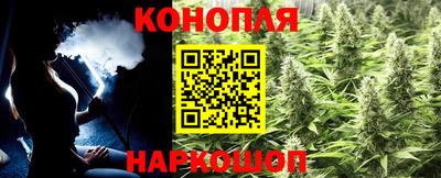 гашиш Кингисепп