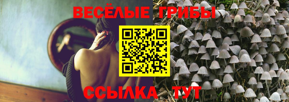 Галлюциногенные грибы прущие грибы  Вход с VPN  Красноуфимск  Псилоцибиновые грибы Magic Shrooms 